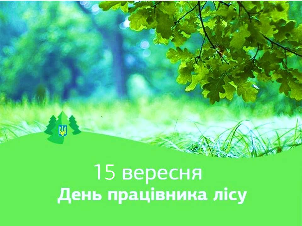 15 вересня  – День працівника лісу